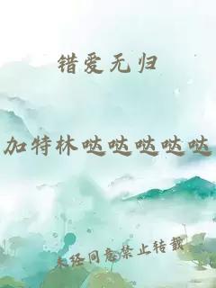 错爱无归