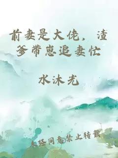 前妻是大佬，渣爹带崽追妻忙