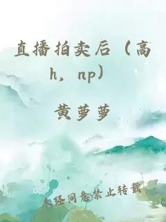 直播拍卖后（高h，np）